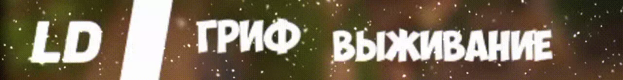 lime-d.ru Server