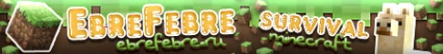 play.ebrefebre.ru Server
