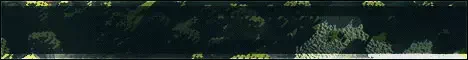82.202.197.200 Server
