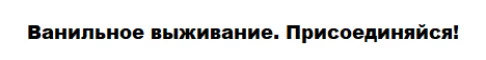 152.70.161.217 Server