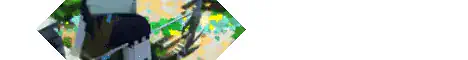 play.wynncraft.com Server
