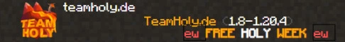 teamholy.de Server