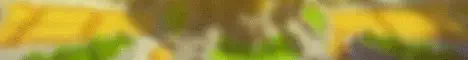 foxmine.net Server